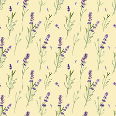 Lavender flowers seamless pattern isolated on white background. Watercolor hand drawing  botanical illustration. For card, wallpaper, packaging, invitation