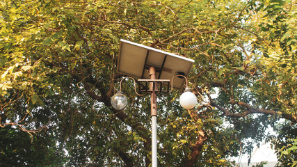 Old Lamp in Park