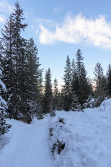 Fototapeta na wymiar Winter view from hiking Trail to Malyovitsa peak, Rila Mountain