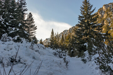 Winter view from hiking Trail to Malyovitsa peak, Rila Mountain