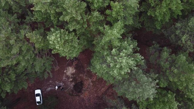 Aerial view of pne evergreen forest and white car. Camping on nature. Sustainable local travel. Restorative escape