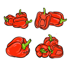 Pepper paprika set illustration in vector. Paprika icon for food packing design
