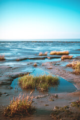 Wattenmeer in Schleswig-Holstein bei Sonnenschein