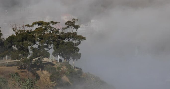Foggy Catalina Hillside With Homes
