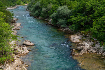 river in the forest