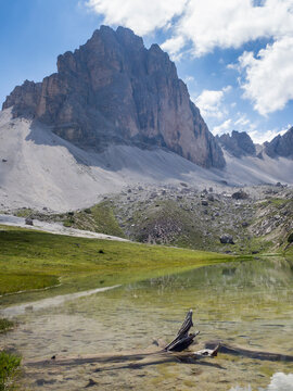 Driftwood lying on shore of Lago di Malga di Mezzo