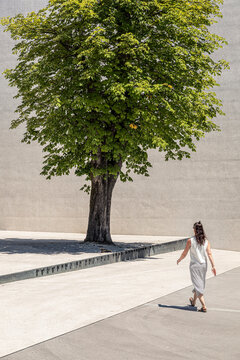 Slovenia, Ljubljana, Monument to the Victims of All Wars&not;&dagger;(Spomenik&not;&dagger;rtvam&not;&dagger;vseh&not;&dagger;vojn), Woman walking near tree on town square