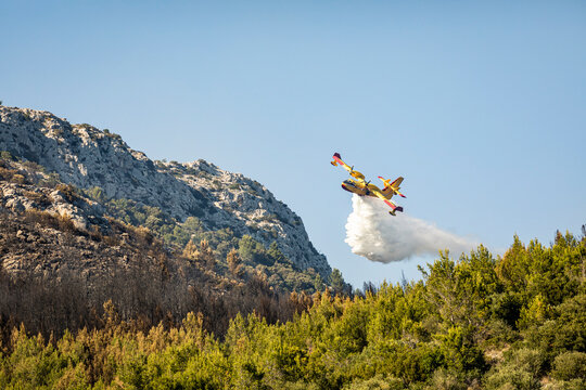 Firefighting airplane pouring water on forest