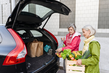 Female friends loading groceries in car trunk