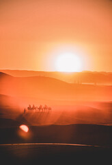 sunset over the desert