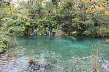 Waterfall and lake with clear, clear turquoise water through which the bottom can be seen, trees with yellow-green foliage Plitvice Lakes National Park