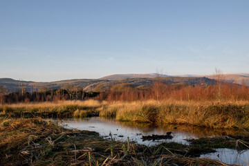 a view of the wetland at Ynys-hir Ceredigion with the grassland behind it and the mountains in the background