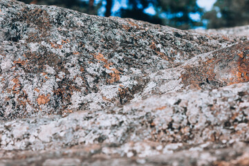 Rock. Close-up rock. Moss-covered volcanic rock
