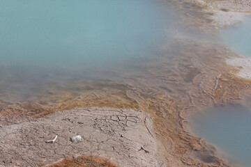 hot springs in park national park