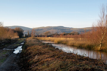 an old dirt track covered in puddles from floods, a small river in the wetlands revealed by the trees that have bean cut down