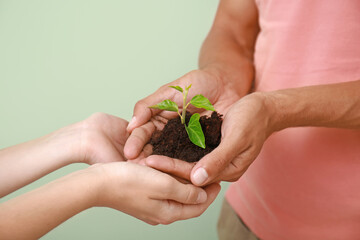 Hands of family with soil and plant on color background