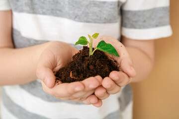 Child's hands with soil and plant, closeup