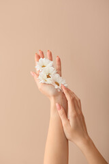 Hands of young woman with beautiful flowers on color background