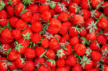 
strawberry background
