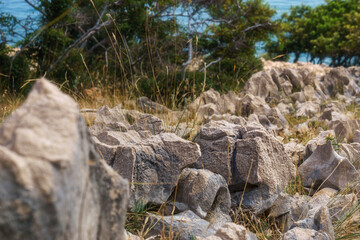 detail of stone and grass in croatian landscape