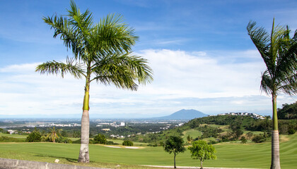Hilltop with Palm Tree Overlooking Clark, Mt. Arayat, and Pampanga on the island of Luzon -...