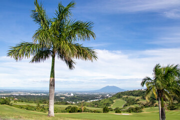 Hilltop with Palm Tree Overlooking Clark, Mt. Arayat, and Pampanga on the island of Luzon -...