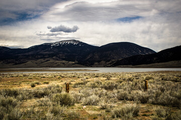 New Mexico Hills and Meadows