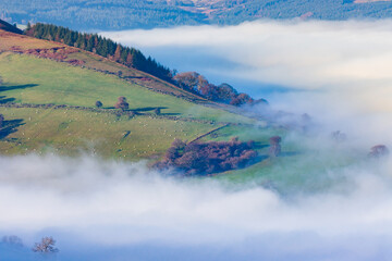 Rural farmland and trees in a beautiful fog filled valley