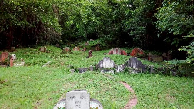 Aerial View toward Singapore Bukit Brown Chinese Cemetery