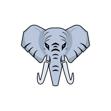 colored vector illustration of elephant head. front view, suitable for logos, paintings, pictures, backgrounds. eps 10