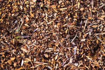 Close Up of Wood Chips