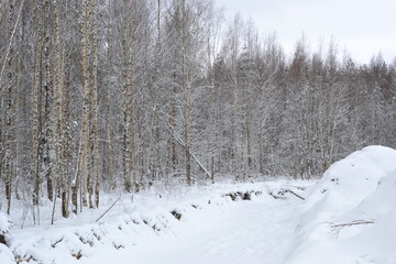 A drainage ditch at the edge of a forest among bare trees covered with snow on a cold winter day.