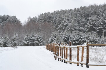 Winter Road In Snowy Forest near snowy wooden fence