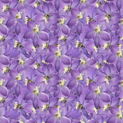 Delphinium, larkspur. Illustration, texture of flowers. Seamless pattern for continuous replication. Floral background, photo collage for textile, cotton fabric. For wallpaper, covers, print