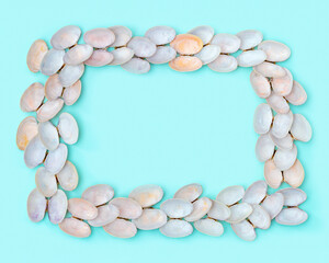 Frame from white and soft pink shells on turquoise color paper. Summer design border with seashells.