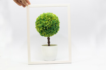White photo frame and plant pot on a white background
