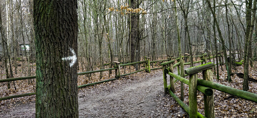 Bright handwritten right direction sign on a bole in the forest in the winter