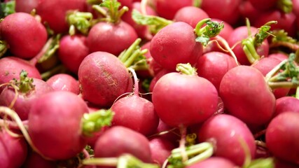 Bunches fresh red  radish on display at a farmers market, Healthy food background