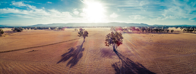 Wide aerial panorama of sunset over fields in Australian outback with lens flare
