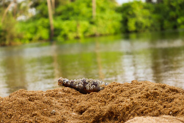 a river with bottle