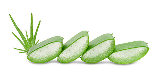 Aloe vera slice on white background.