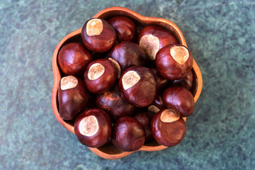 Buckeye Chestnut in wooden bowl on marble surface. Top View formation of Fresh conkers.