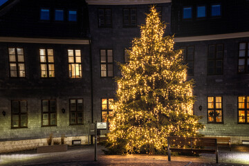 Weihnachtsbaum vor einem  alten Gebäude 