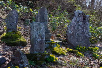 早春の石像と福寿草
