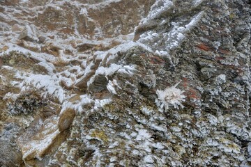 
Belongs to the subtropical zone, with snow on the mountain, in Hehuan Mountain, Taiwan