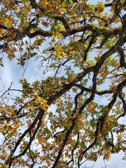 Mid season transition 