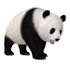3d render of a cute panda