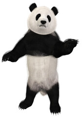3d render of a cute panda