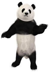 3d render of a cute panda © Andreas Meyer
