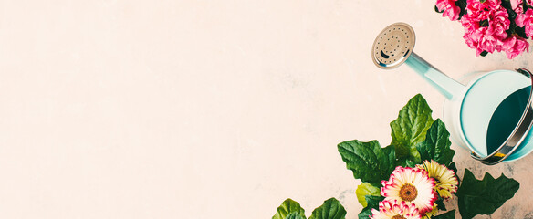Various colorful flowers, garden tools and watering can. Top view, copy space. Long banner © valya82